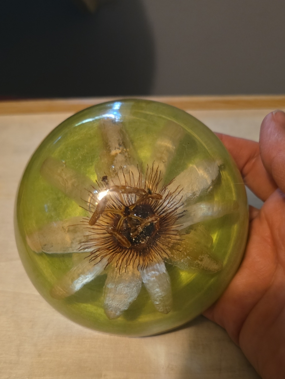 Vintage Paperweight Passion Flower Decorative Resin Garden Decor